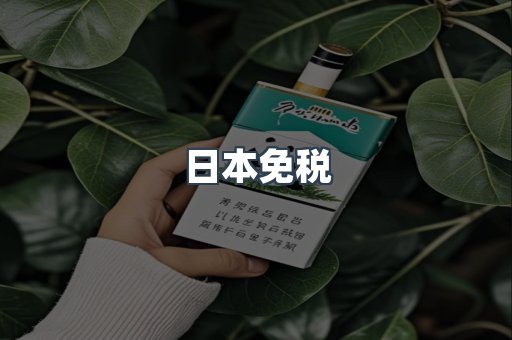 日本免税