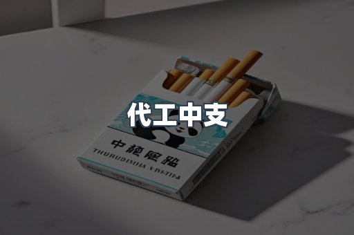代工中支